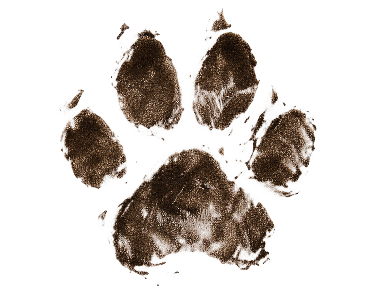 Blondie's paw print signature